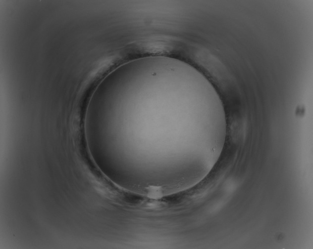 X0000096650407200802051200