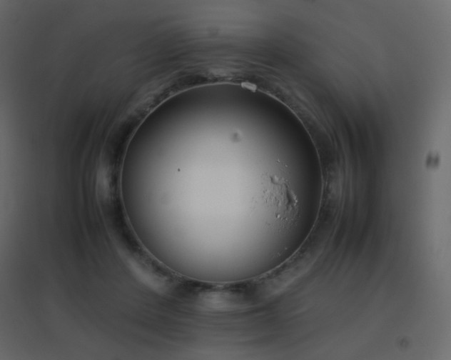X0000096650408200802051200
