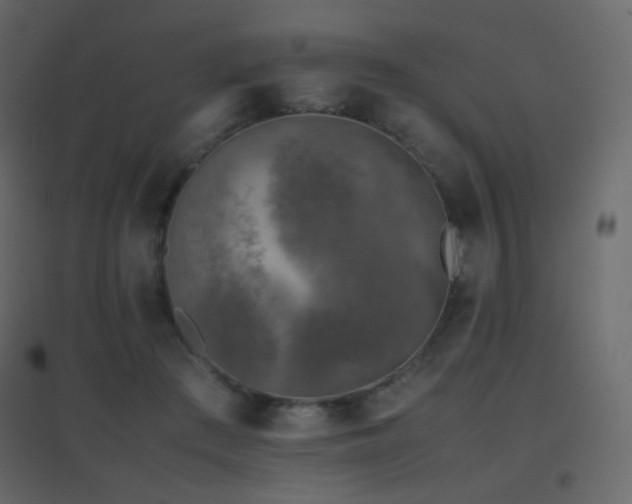 X0000096650409200802051200