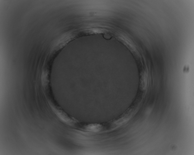 X0000096650410200802051200