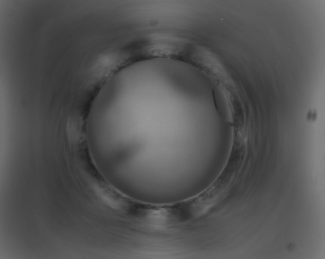 X0000096650411200802051200