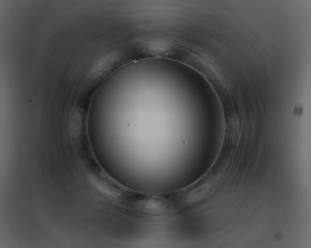 X0000096650412200802051200