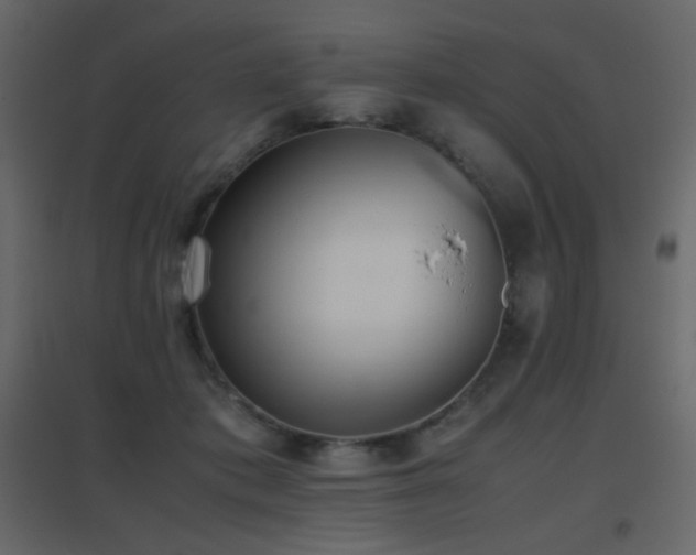 X0000096650413200802051200