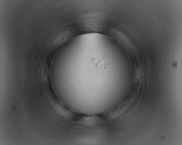 X0000096650414200802051159
