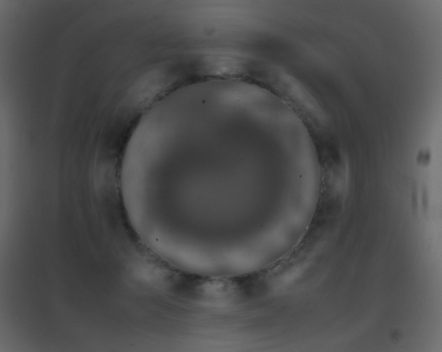 X0000096650415200802051159