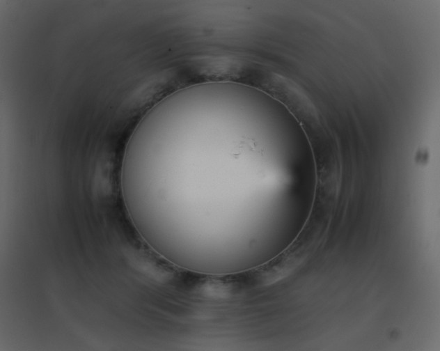 X0000096650416200802051159