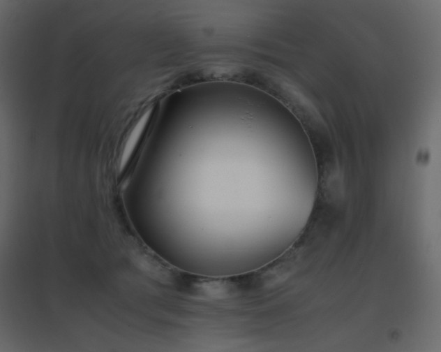 X0000096650417200802051159