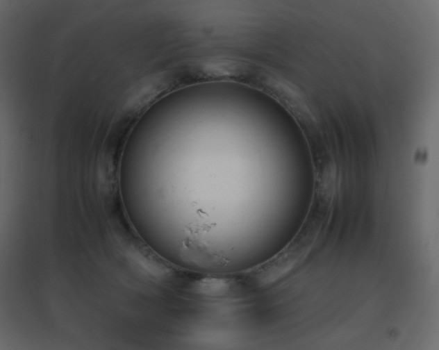 X0000096650418200802051159