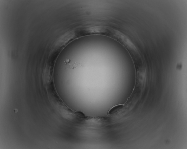 X0000096650422200802051159