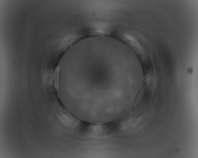 X0000096650423200802051159