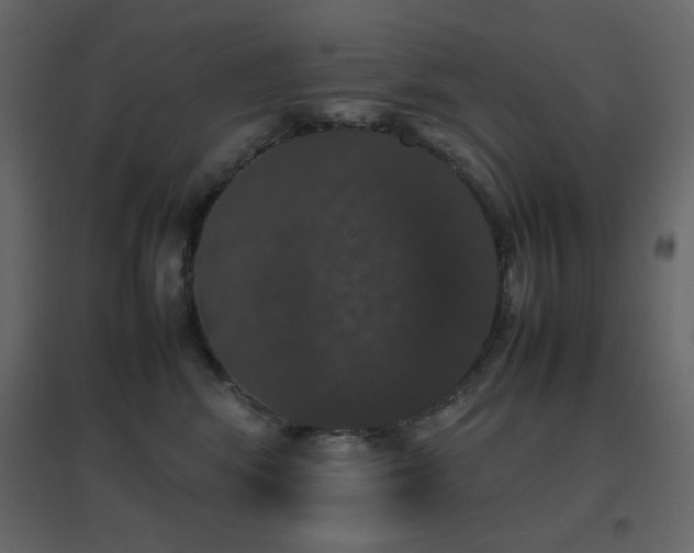X0000096650424200802051159