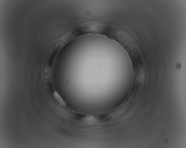 X0000096650425200802051159