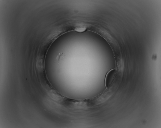 X0000096650426200802051159