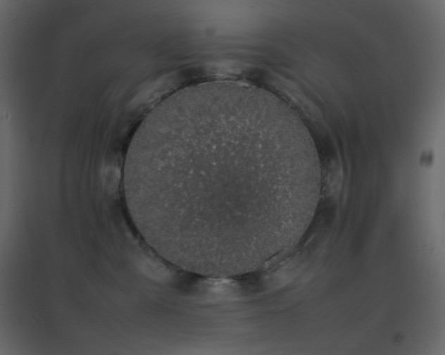 X0000096650427200802051159