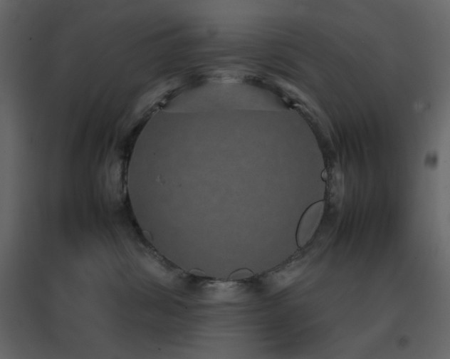 X0000096650428200802051159