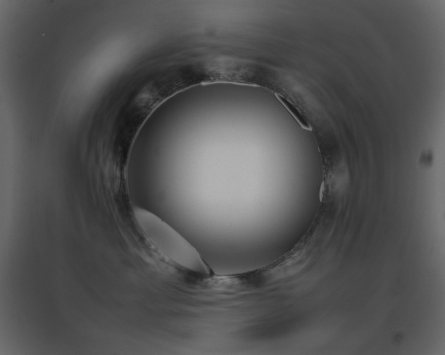 X0000096650429200802051159