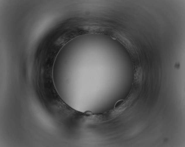 X0000096650430200802051159