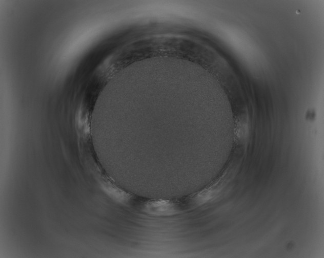 X0000096650431200802051159