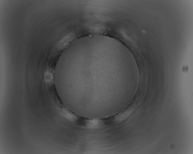 X0000096650432200802051159
