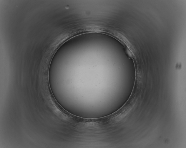 X0000096650433200802051158