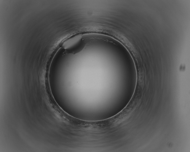 X0000096650434200802051158