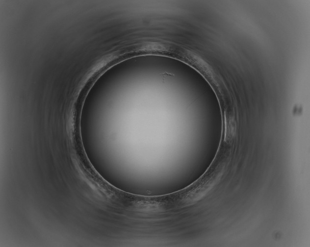 X0000096650435200802051158