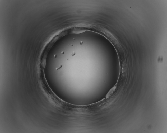 X0000096650436200802051158