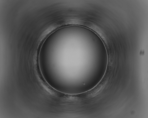 X0000096650437200802051158