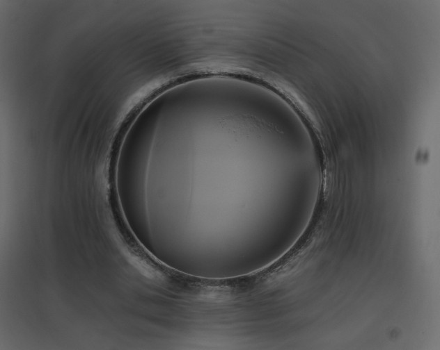 X0000096650438200802051158