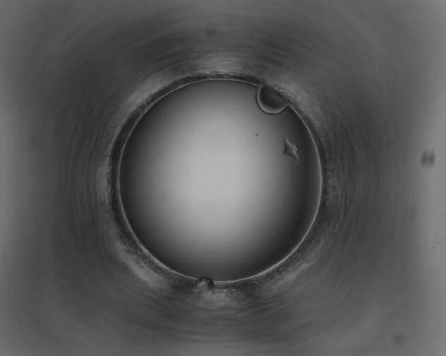 X0000096650439200802051158