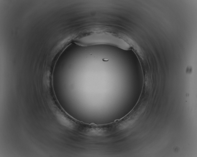 X0000096650445200802051159