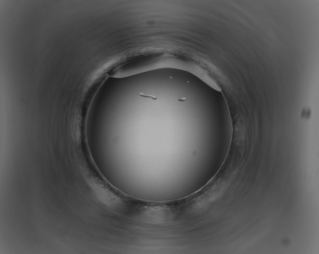 X0000096650446200802051159