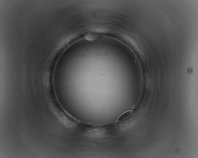 X0000096650447200802051159