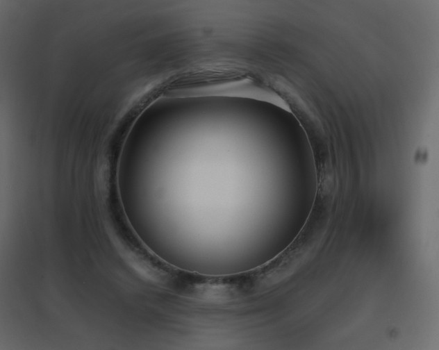 X0000096650448200802051159