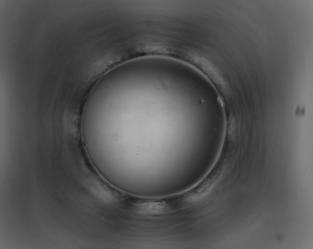 X0000096650449200802051159