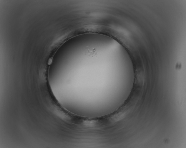 X0000096650450200802051159