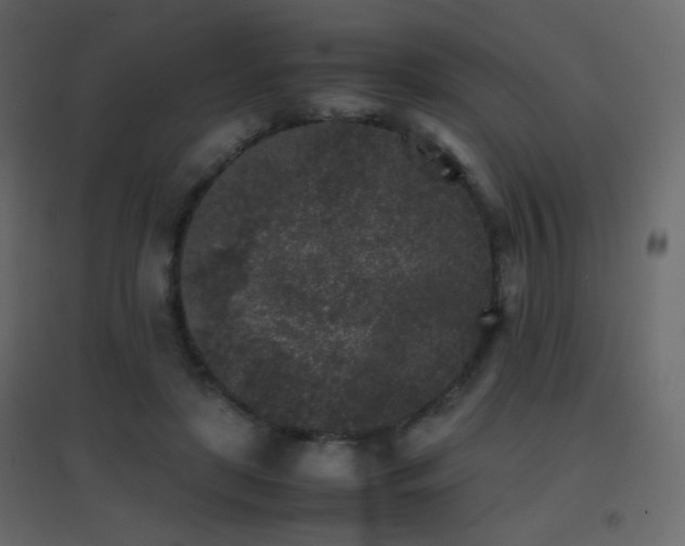 X0000096650451200802051159