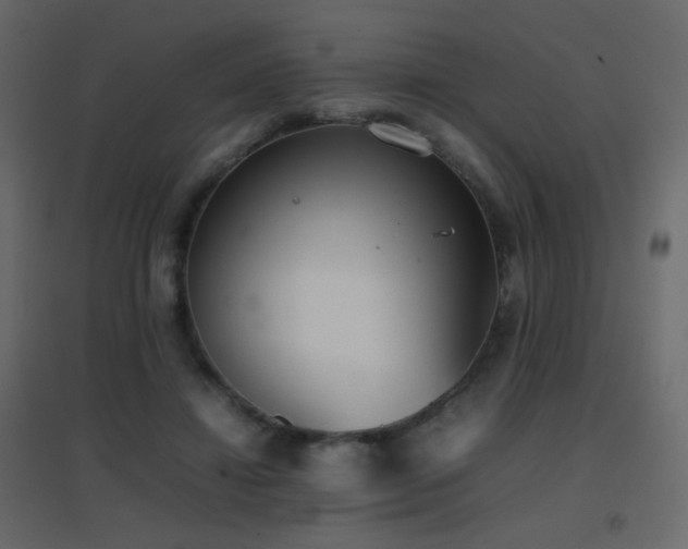 X0000096650452200802051159