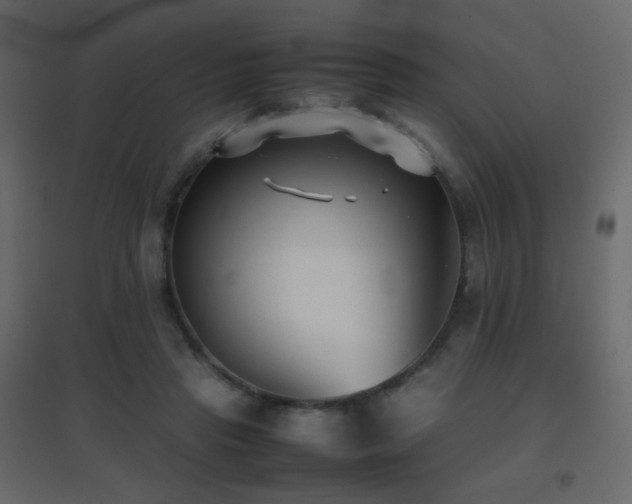 X0000096650453200802051159