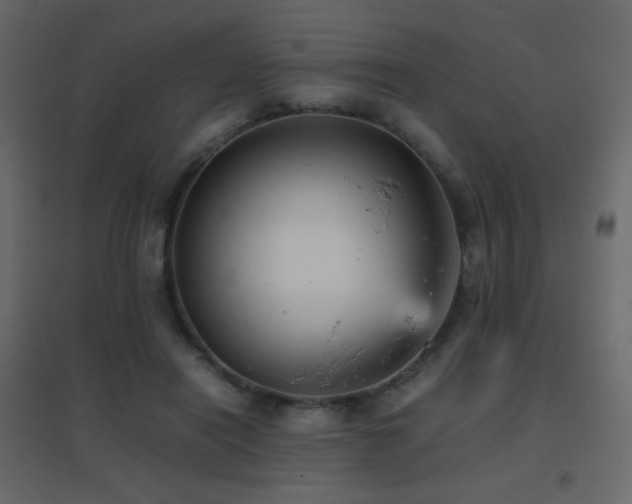 X0000096650454200802051159