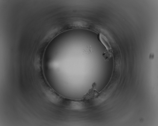 X0000096650457200802051159