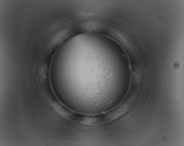 X0000096650458200802051159