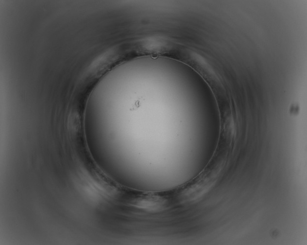 X0000096650459200802051159