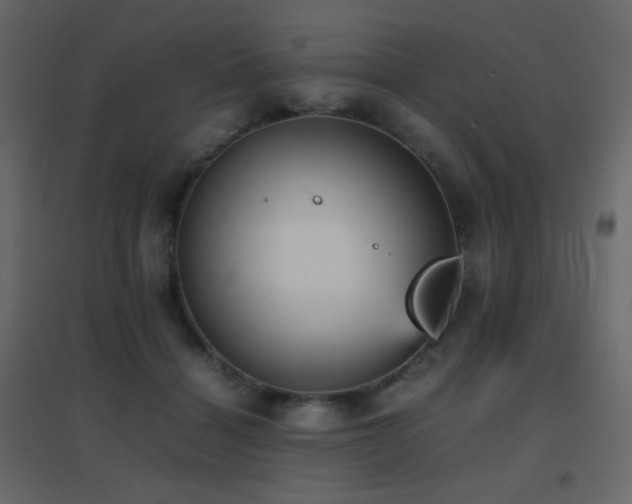 X0000096650460200802051159