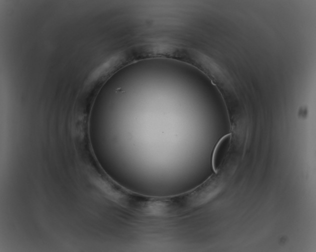 X0000096650462200802051159
