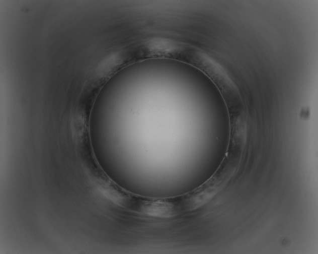 X0000096650463200802051159