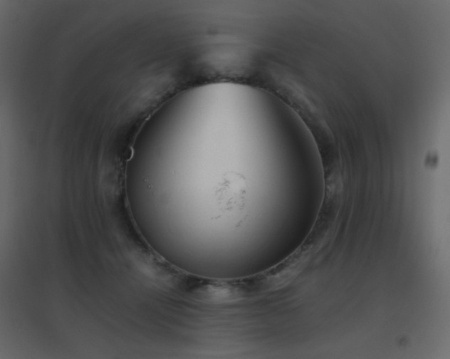 X0000096650464200802051159