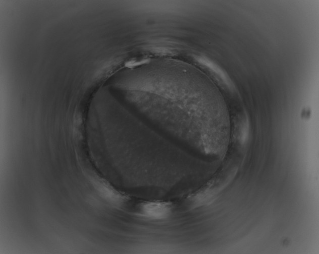 X0000096650465200802051159