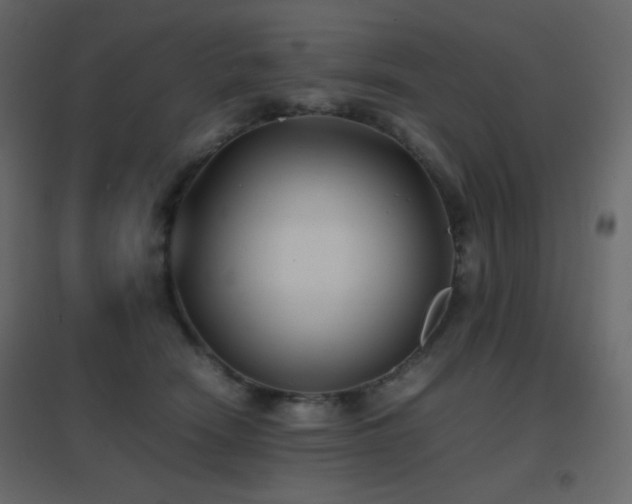 X0000096650466200802051159