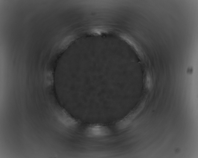 X0000096650467200802051159